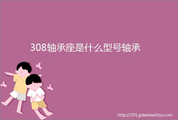 308轴承座是什么型号轴承