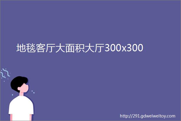 地毯客厅大面积大厅300x300